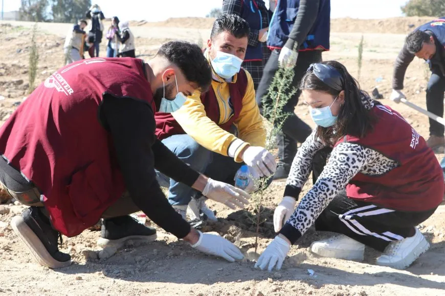Li Hesekê 500 dar hatin çandin