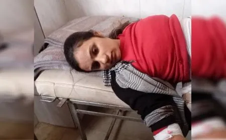 Di topbarana li ser kantona Efrîn û Şehbayê de jinek birîndar bû