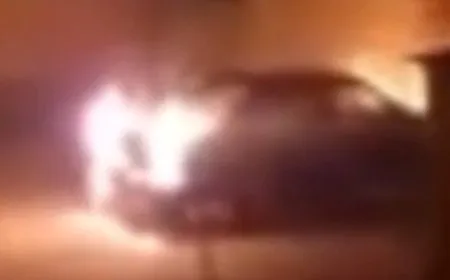 Li Wanê çalakiyeke hişyariyê ye