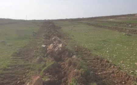 Li Kobanê daristanek tê avakirin
