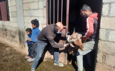 Li herêmên Rêveberiya Xweser pez tên derzîkirin