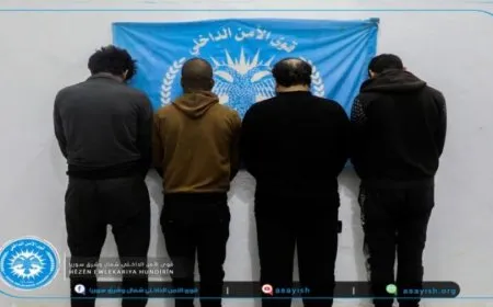 Hêzên Ewlekariya Hundirîn şebekeyeke dizan girt