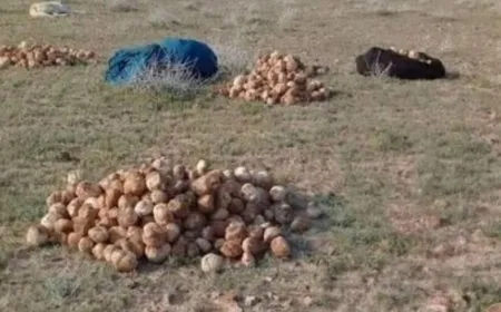 Li beyarê Sûriyeyê 3 jin hatin qetilkirin