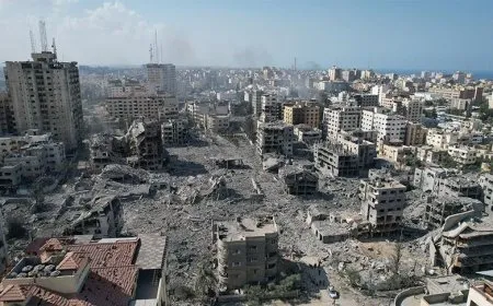 Li Xezayê 23 milyon ton kavil çêbûn