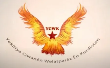 Li Mêrsînê çalakiyek hat kirin
