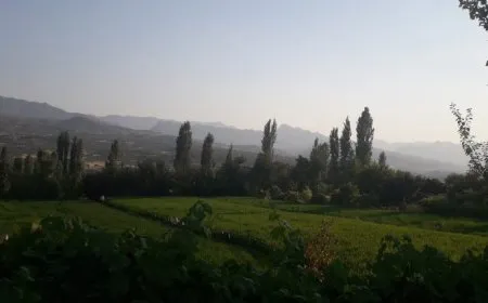 Artêşa dagirker bejahiya Dihokê topbaran kir