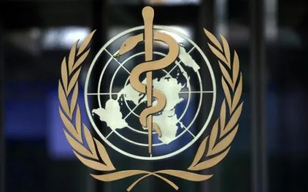 WHO: Karmendekî me di êrişa hewayî li Sûriyeyê de hat kuştin