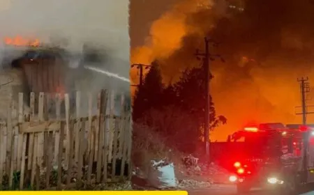 HBDH’ê li Kocaeliyê 2 çalakî lidar xistin