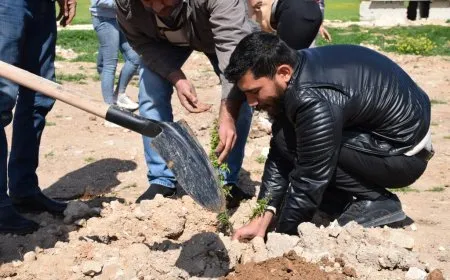 Bi boneya 4'ê Nîsanê 800 dar hatin çandin