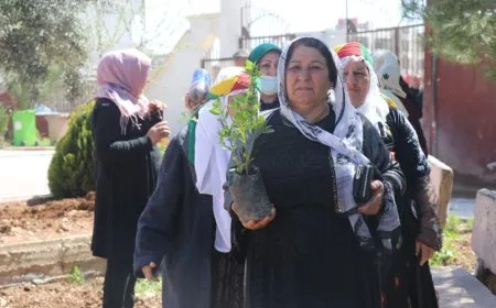 Li Qamişloyê bi boneya 4`ê Nîsanê dar hatin çandin