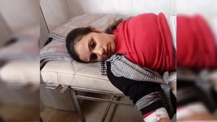Di topbarana li ser kantona Efrîn û Şehbayê de jinek birîndar bû