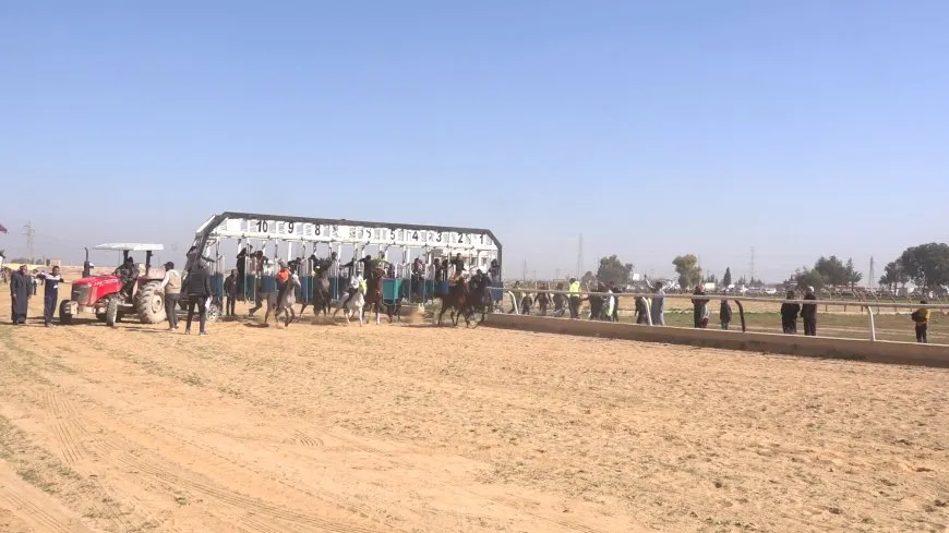 Li Reqayê turnuvaya siwariyê li dar ket