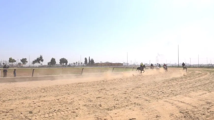 Li Reqayê turnuvaya siwariyê li dar ket