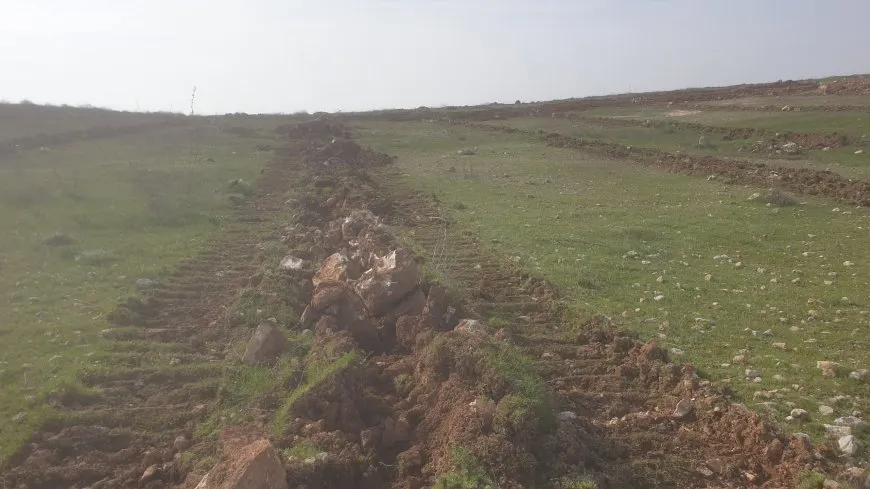Li Kobanê daristanek tê avakirin