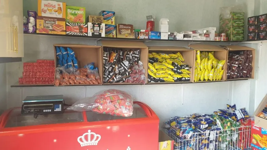 Di nava çalakiyên 8`ê Adarê de çandina daran û serdana saziyan