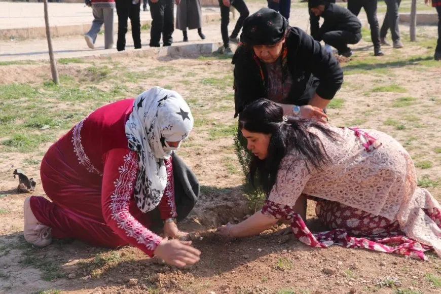 Di nava çalakiyên 8`ê Adarê de çandina daran û serdana saziyan
