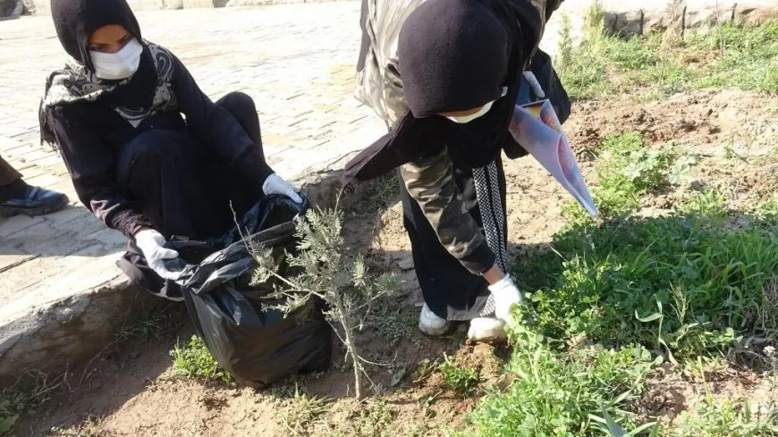 Li Reqa û Firatê çalakiyên 8’ê Adarê