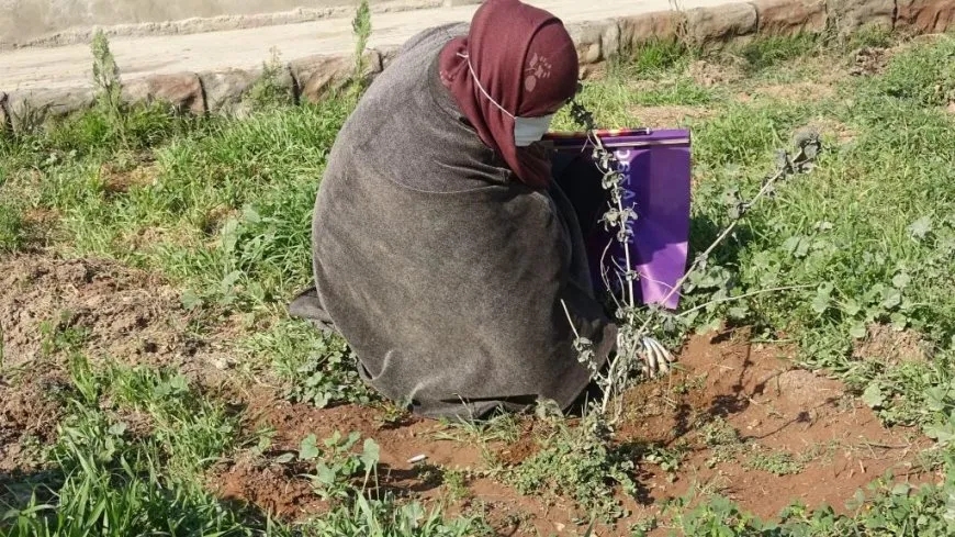 Li Reqa û Firatê çalakiyên 8’ê Adarê