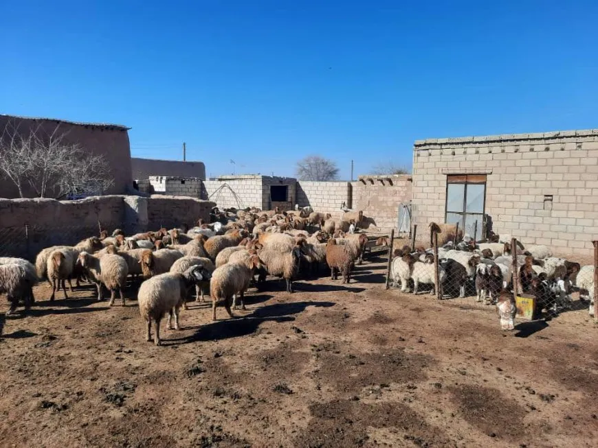 Li herêmên Rêveberiya Xweser pez tên derzîkirin