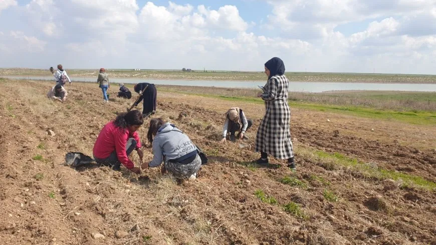 Li Bakur û Rojhilatê Sûriyeyê çalakiyên 8ˊê Adarê
