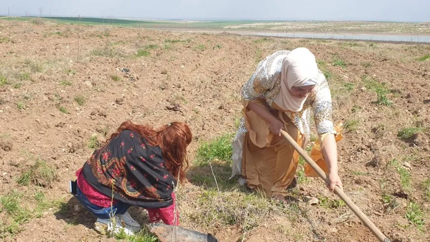 Li Bakur û Rojhilatê Sûriyeyê çalakiyên 8ˊê Adarê