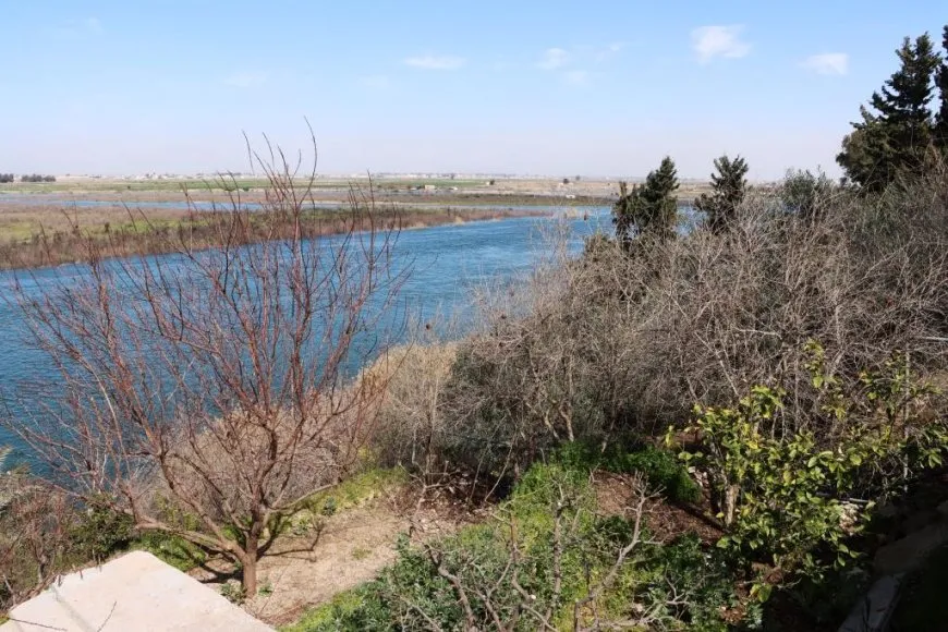 Bi wêne bihara li Reqayê