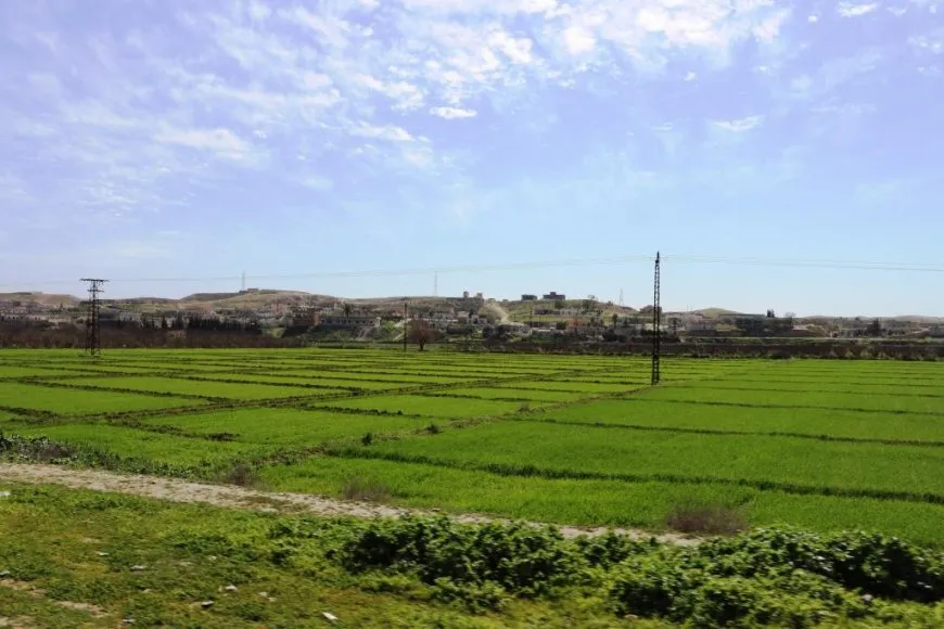 Bi wêne bihara li Reqayê