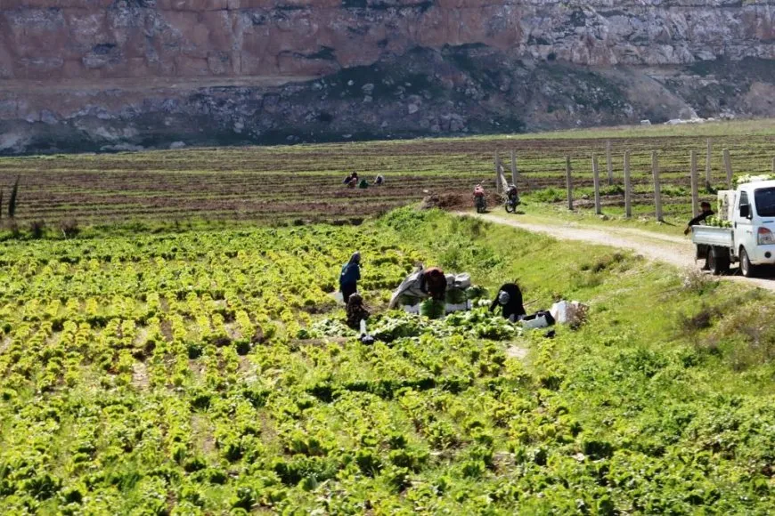 Bi wêne bihara li Reqayê
