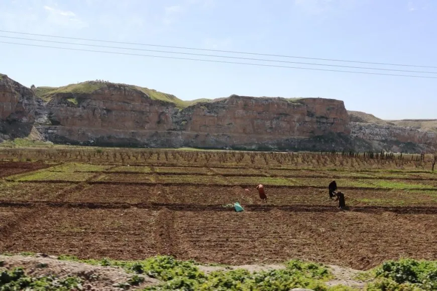 Bi wêne bihara li Reqayê