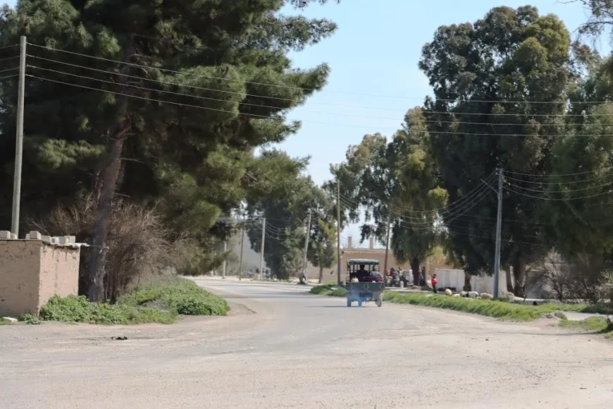 Bi wêne bihara li Reqayê