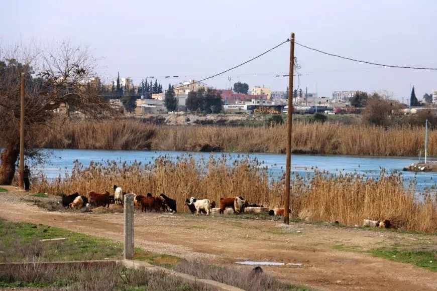 Bi wêne bihara li Reqayê