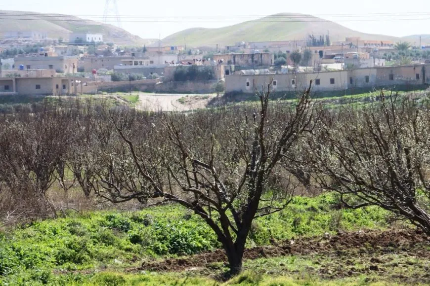Bi wêne bihara li Reqayê