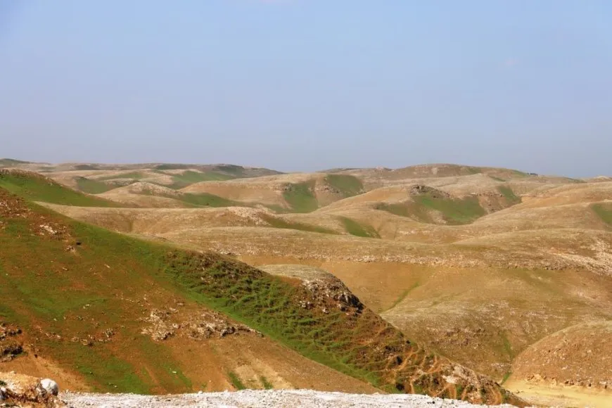 Bi wêne bihara li Reqayê