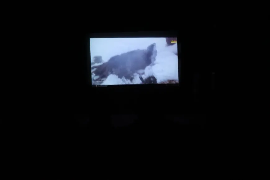 Li Qamişloyê filmê gerîla hate pêşandan