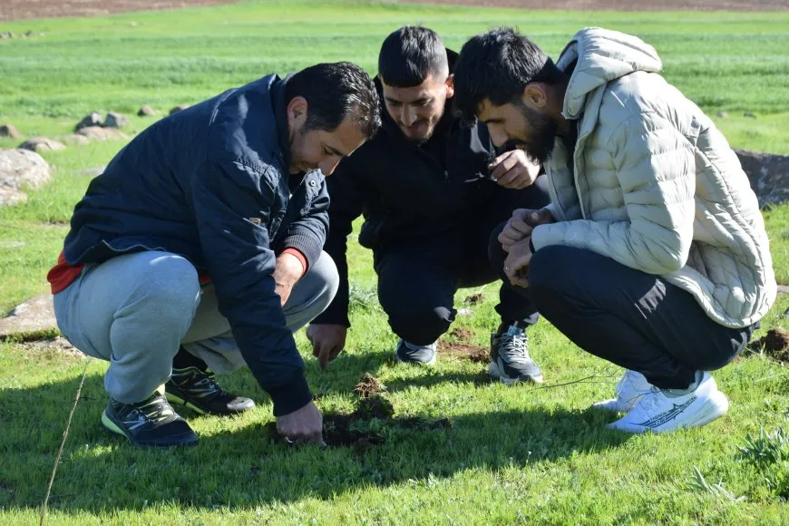 Li Tirbespiyê komkirina dobelanan