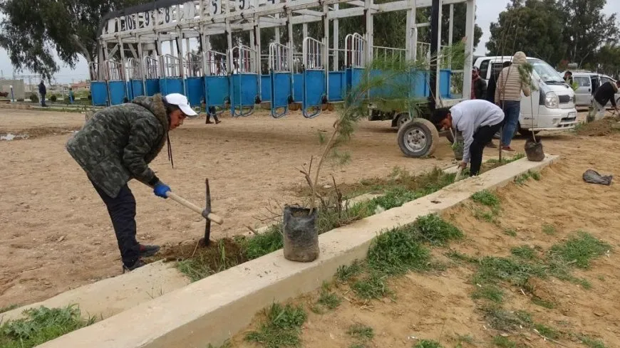 Li Reqayê 100 dar hatin çandin