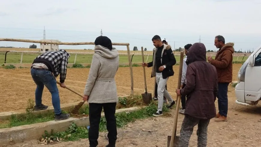 Li Reqayê 100 dar hatin çandin