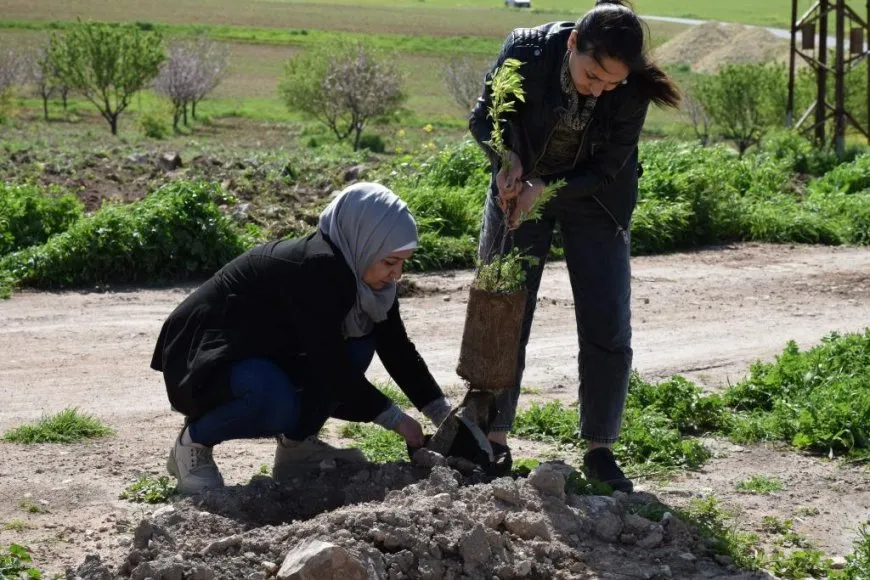 Bi boneya 4'ê Nîsanê 800 dar hatin çandin