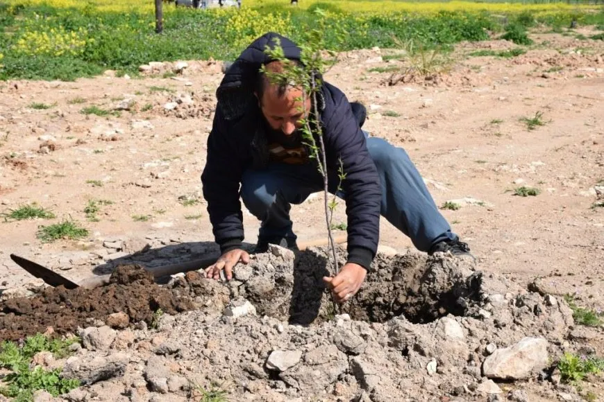 Bi boneya 4'ê Nîsanê 800 dar hatin çandin