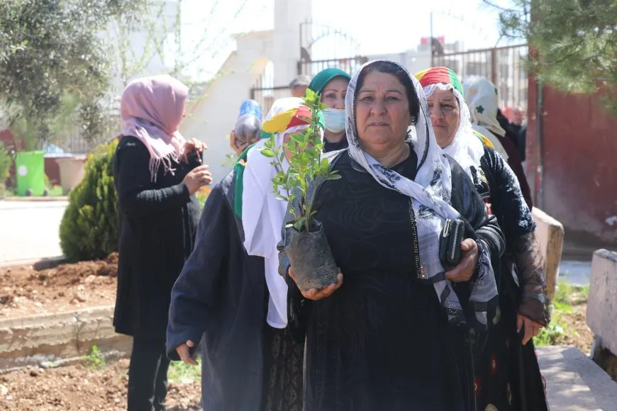 Li Qamişloyê bi boneya 4`ê Nîsanê dar hatin çandin