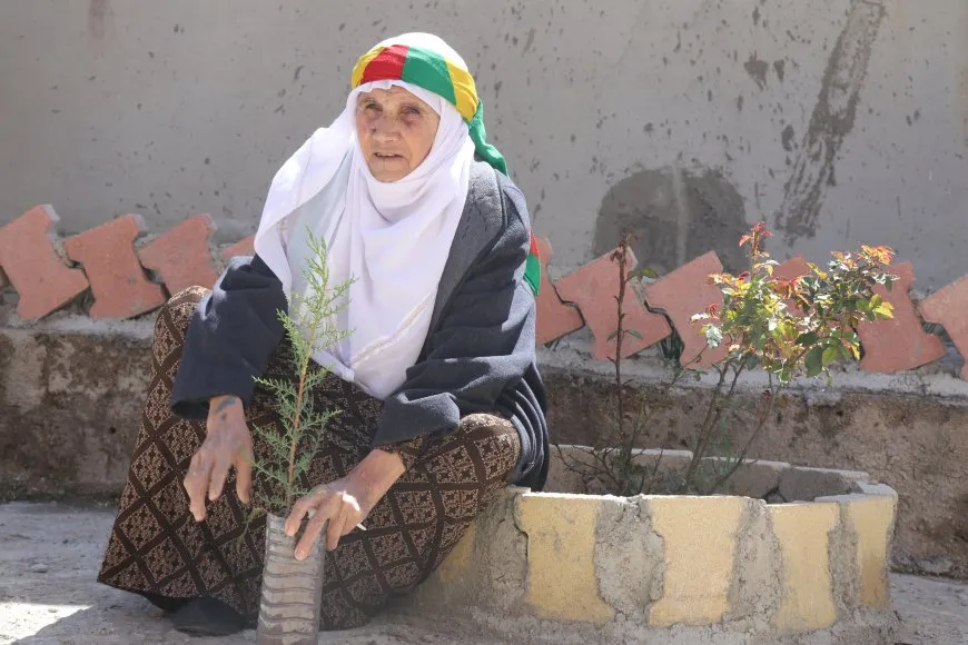 Li Qamişloyê bi boneya 4`ê Nîsanê dar hatin çandin