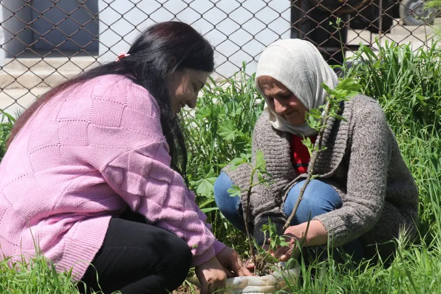 Li Qamişloyê bi boneya 4`ê Nîsanê dar hatin çandin