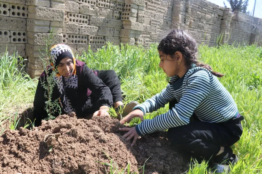 Li Qamişloyê bi boneya 4`ê Nîsanê dar hatin çandin