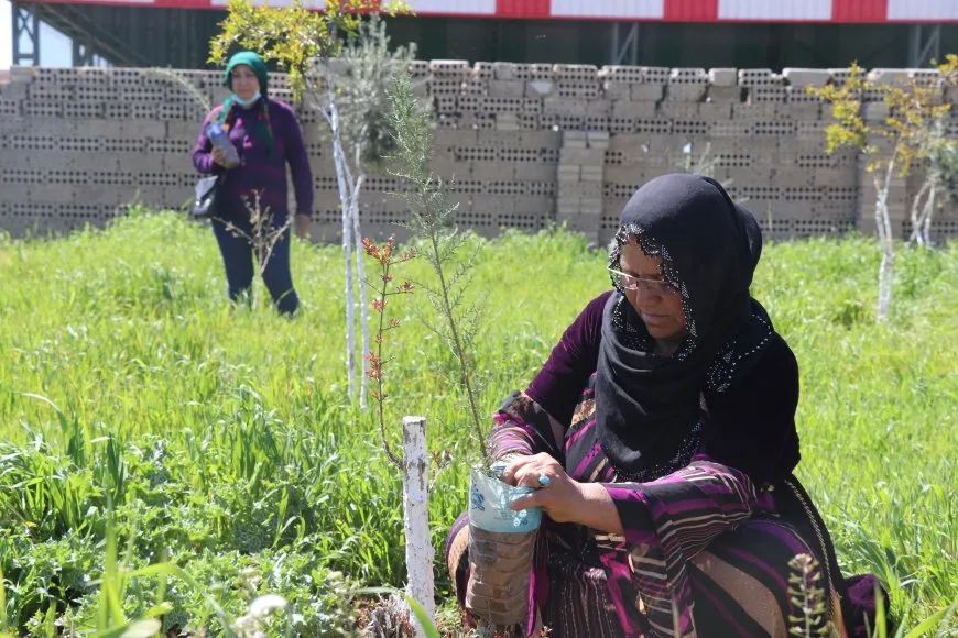 Li Qamişloyê bi boneya 4`ê Nîsanê dar hatin çandin