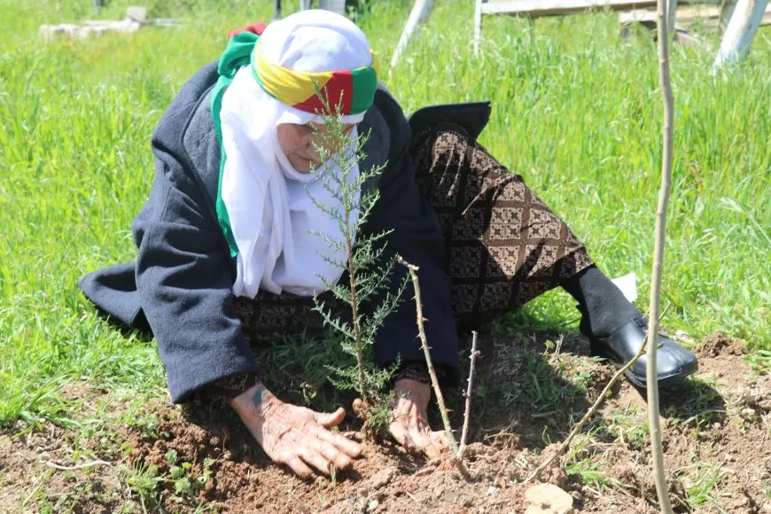 Li Qamişloyê bi boneya 4`ê Nîsanê dar hatin çandin
