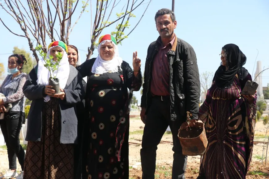 Li Qamişloyê bi boneya 4`ê Nîsanê dar hatin çandin