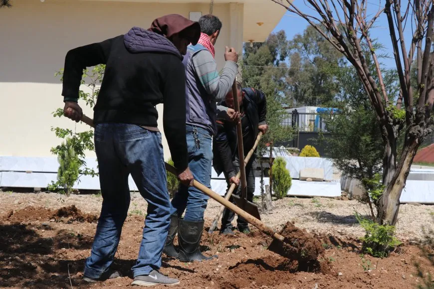 Li Qamişloyê bi boneya 4`ê Nîsanê dar hatin çandin