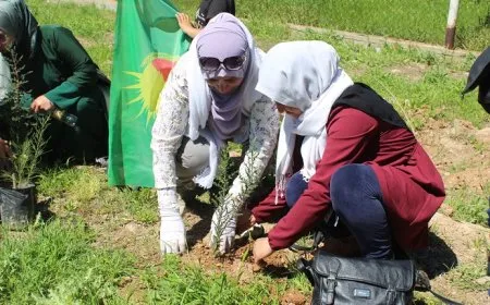 Li 2 navçeyên Qamişlo hezar dar hatin çandin