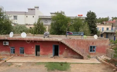 Li Amarayê Rojbûna Rêber Abdullah Ocalan hat pîrozkirin