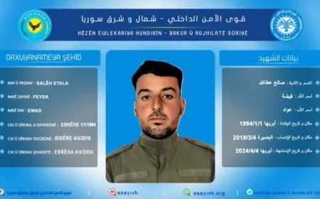 Endamekî Hêzên Ewlekariya Hundirîn şehîd bû